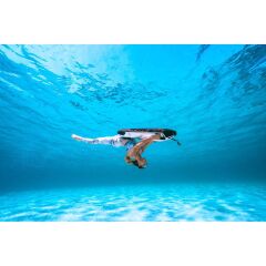 AquaDart Nano 550 Explorer